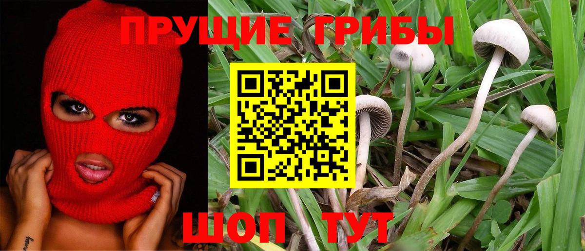 Галлюциногенные грибы Magic Shrooms  как найти   Мичуринск  Вход с VPN 